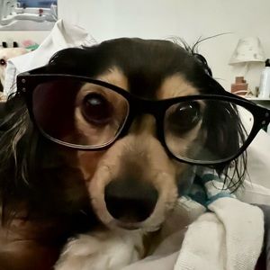 Meet your Posher, Marco